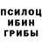 Псилоцибиновые грибы мухоморы Nurbek Nurtileov
