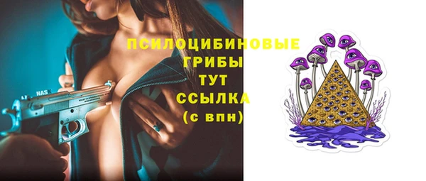 гашик Заводоуковск