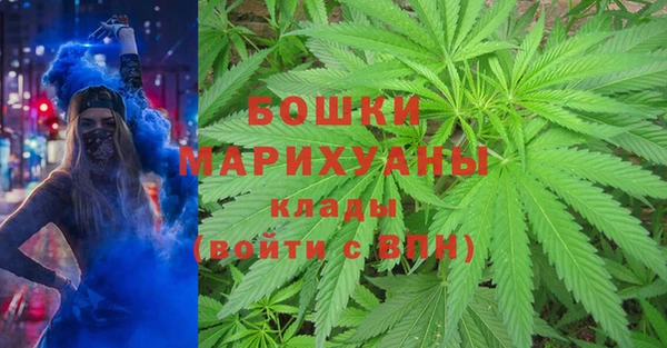 сатива Зеленодольск