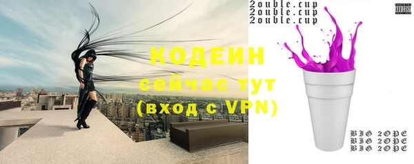 шишки Заволжск