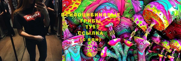 шишки Заволжск