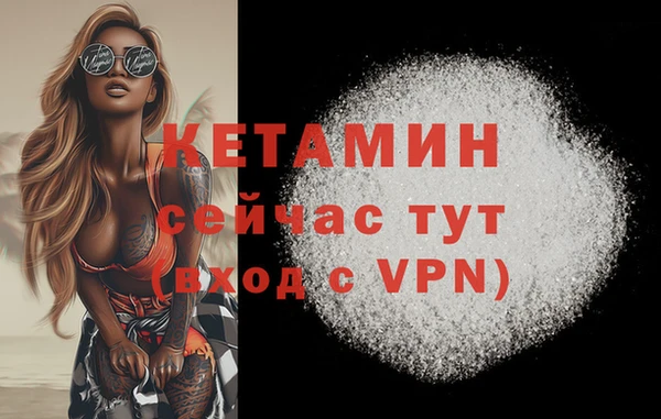 гашик Янаул