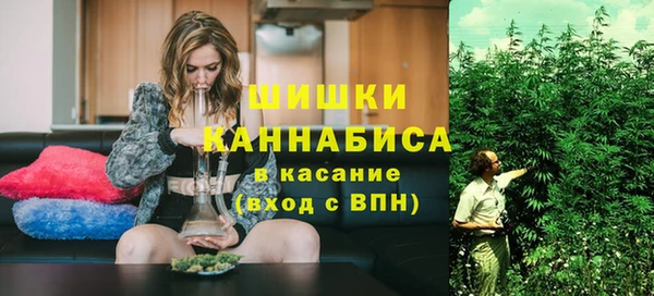 шишки Заволжск