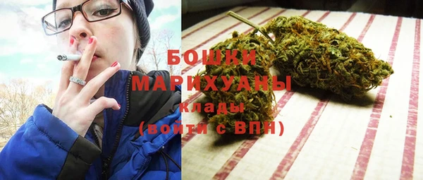 шишки Заволжск
