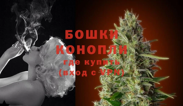 гашик Заводоуковск