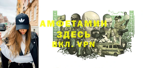 гашик Заводоуковск