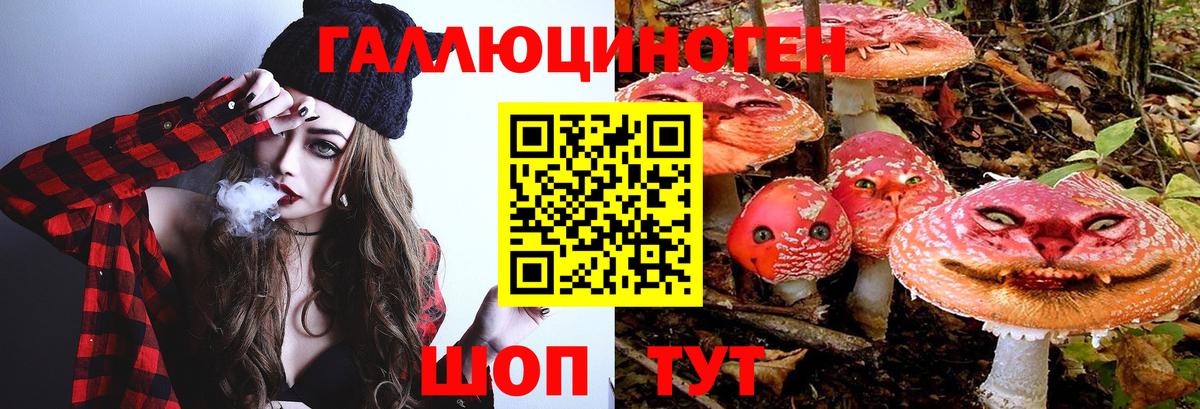Галлюциногенные грибы GOLDEN TEACHER Слободской